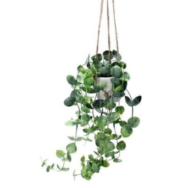 A realistic faux trailing hoyas plant in a hanging pot. The artificial plant is made by the Londer designer Gisela Graham who designs really beautiful gifts for your home and garden. Would make an ideal gift for a gardener or someone who likes plants. Would look good in any home and would suit any decor.